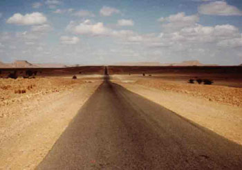 Web-Afrika1981-12