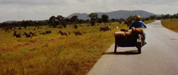 Web-Afrika-1983-13