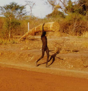 Web-Afrika-1983-19