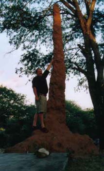 WAfrika2001-21