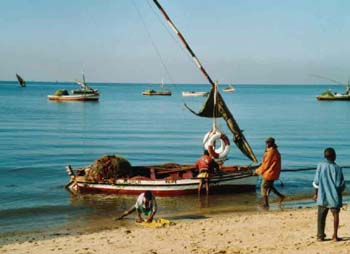 WAfrika2001-32