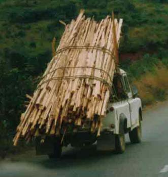 WebAfrika2001-9